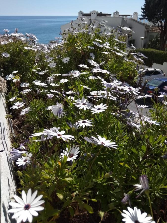 Espectacular Apartamento En Primera Linea De Playa Benalmádena Dış mekan fotoğraf